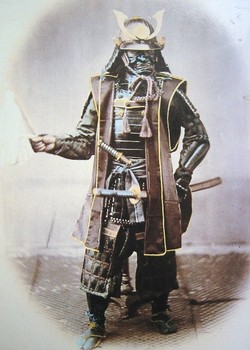 Samurai Warrior