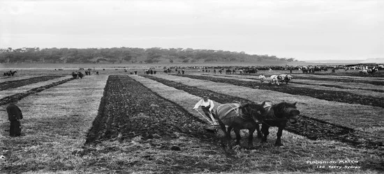 Heavy plough
