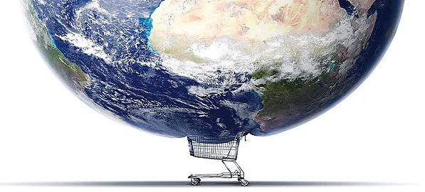 buy the whole earth