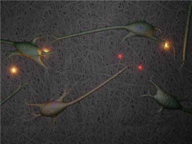 Growing Nerve Cells
