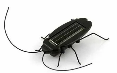 Solar Power Energy Cockroach