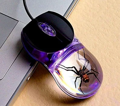 Spider Mouse