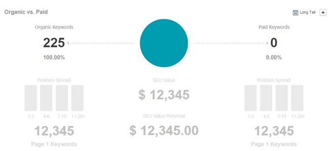 Searchmetrics Website Analyzer