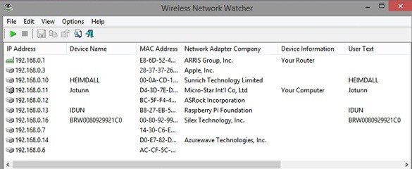 Wireless network watcher