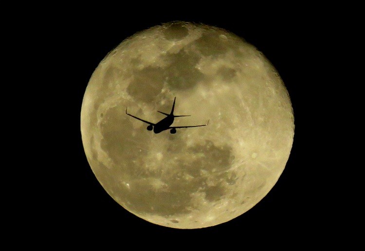 Fly to the Moon