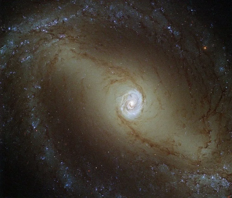 NGC 1433