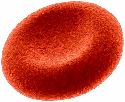 single blood cell