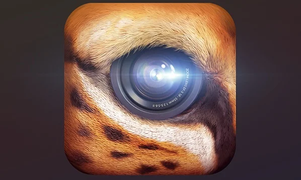 Primal