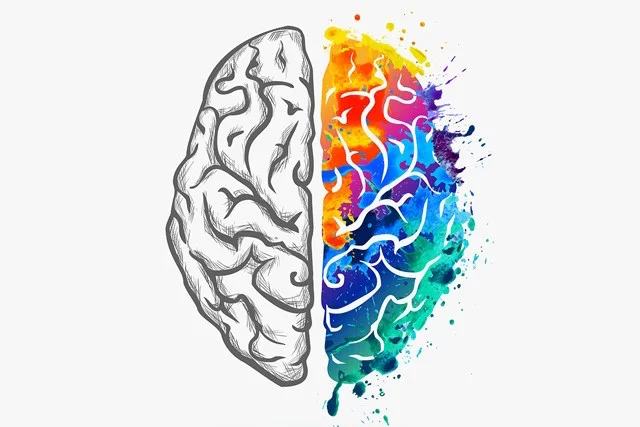 Human brain