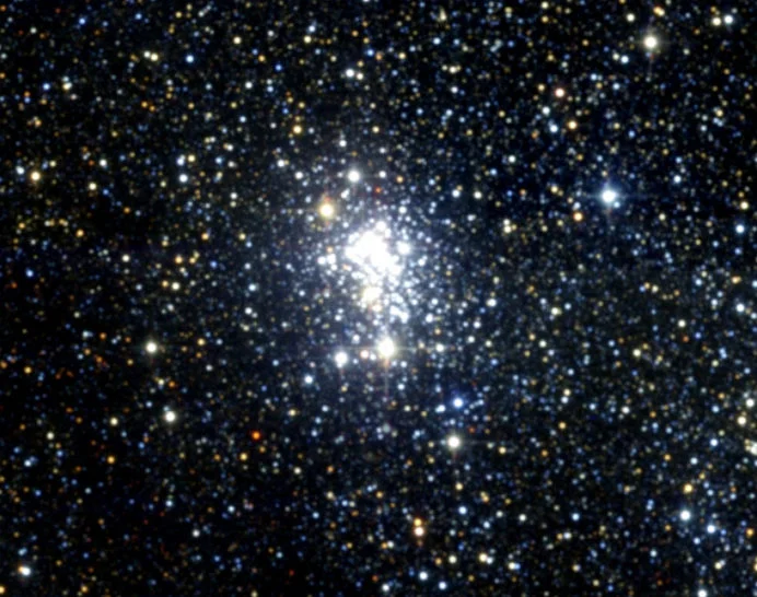 Westerlund1