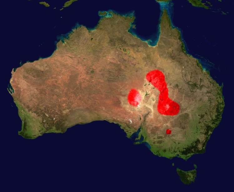 Fierce snake range