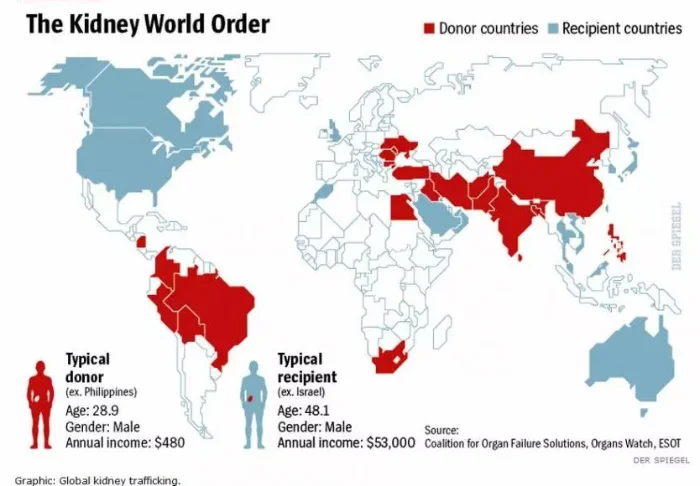 Human Organs Trafficking
