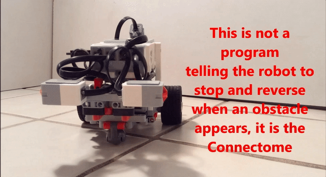 Openworm robot shop