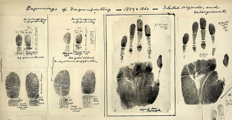 first finger prints