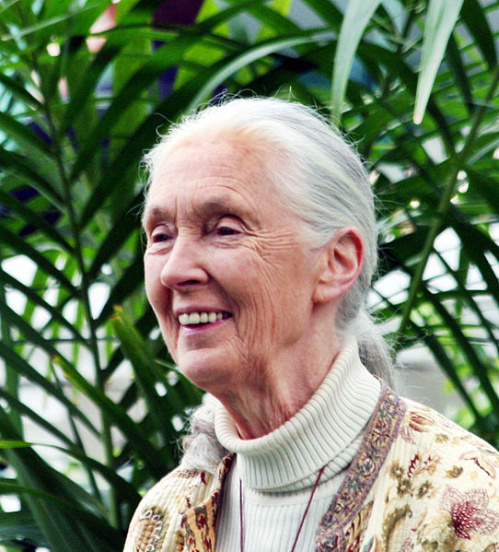 Jane Goodall