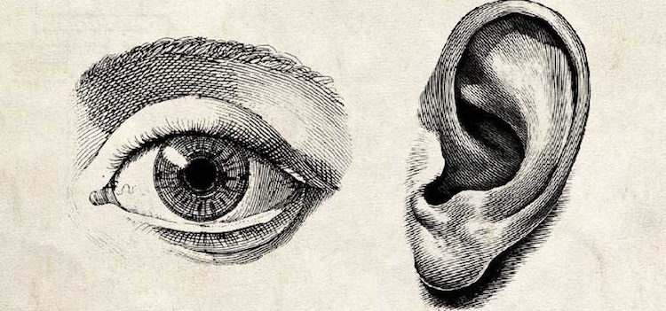 Sight & Sound