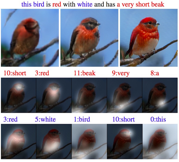 drawing bot creating birds