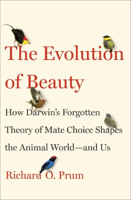 the evolution of beauty