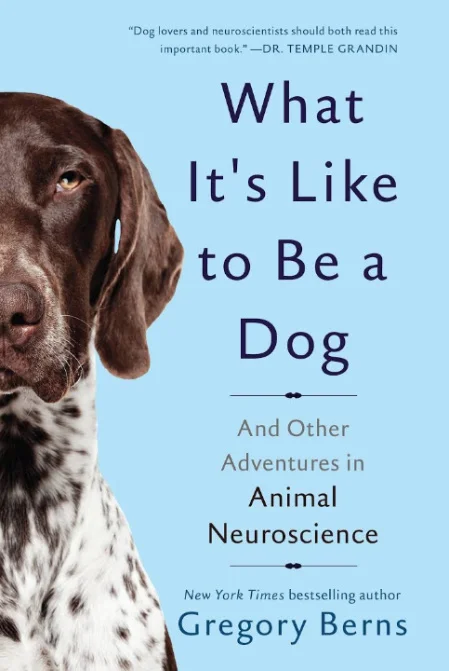 what its like to be a dog