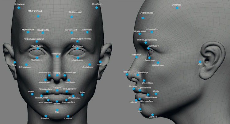 Genes That Determine Our Facial Features