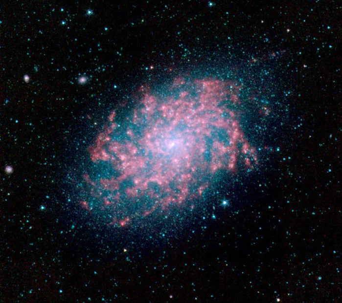 NGC 7793