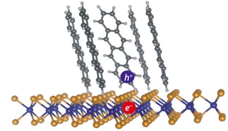 Organic Solar Cells Can Generate Electricity