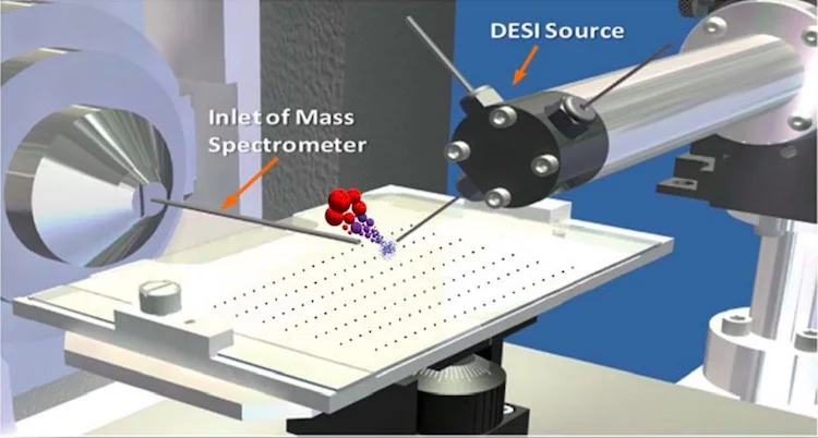 Reaction and MS product analysis of reaction mixtures in microtiter plate format