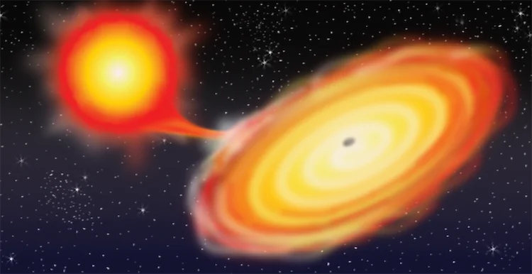 The direct Urca process to cool Neutron Stars