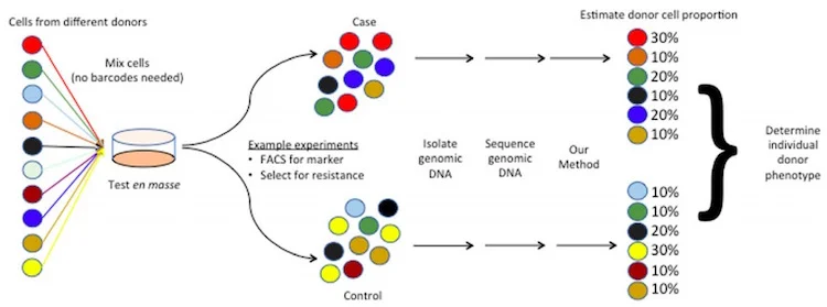 workflow of Natural Barcoding Method