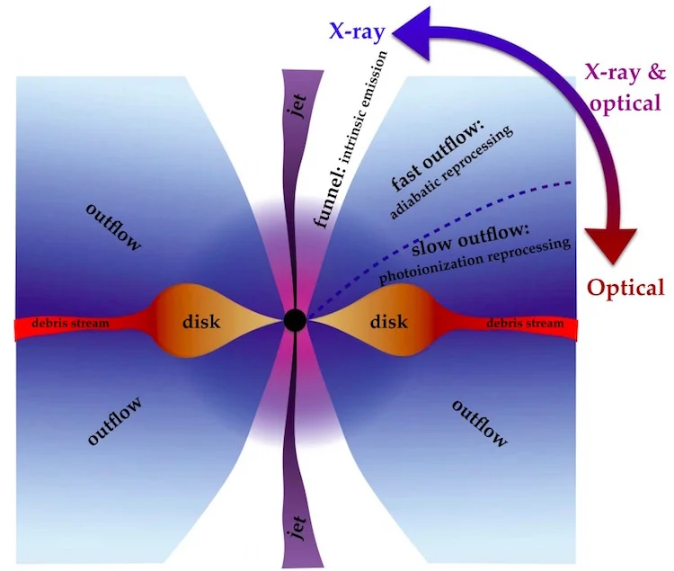 computer model of Black Hole Eating A Star