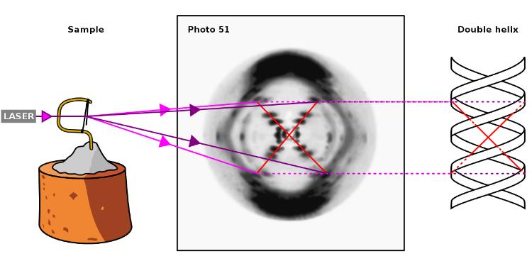 Photo 51 experimental Setup
