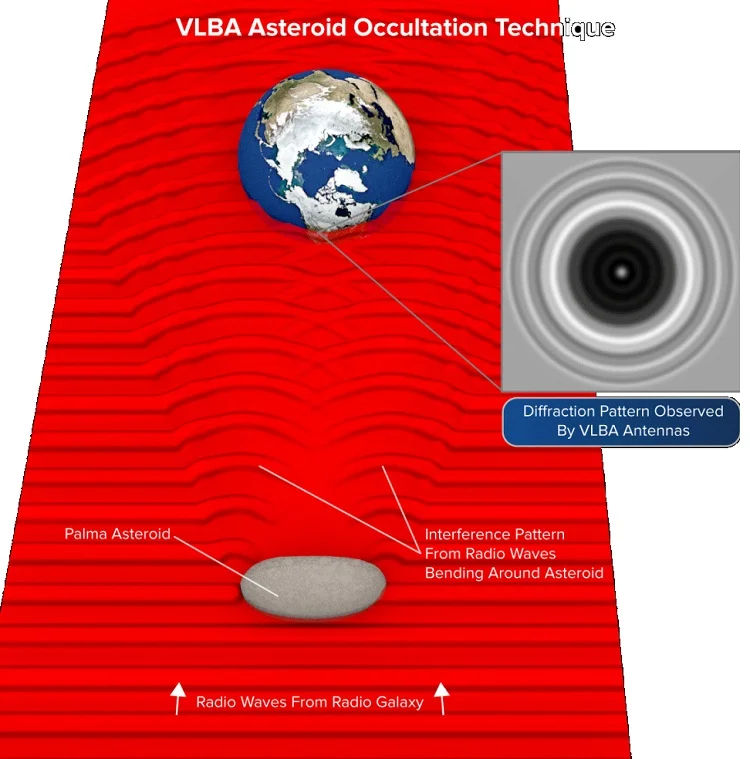 Measure The Asteroid - Palma