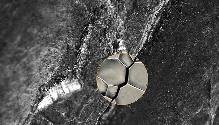 Microscopic Cracks In Alloys 3D image