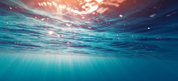 Ocean Absorbed Heat Energy in Zettajoules