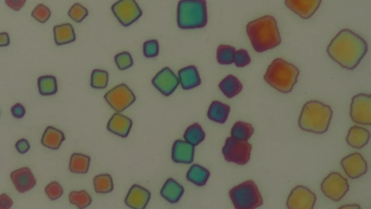Superfluorescence Using Nanocrystal Superlattices