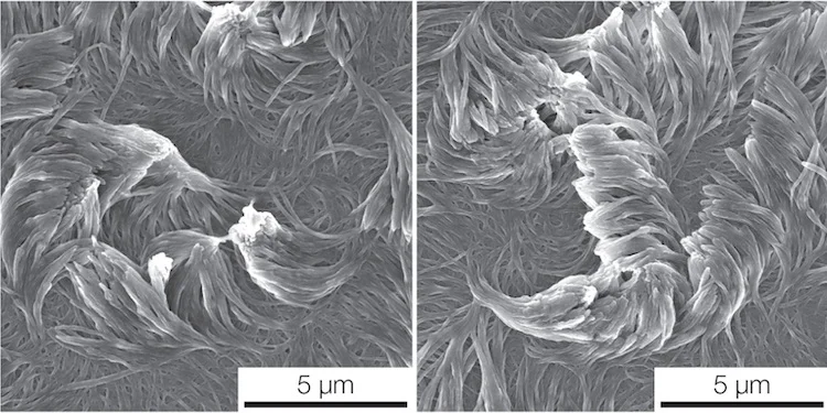 nanofibers for Superpower Coatings