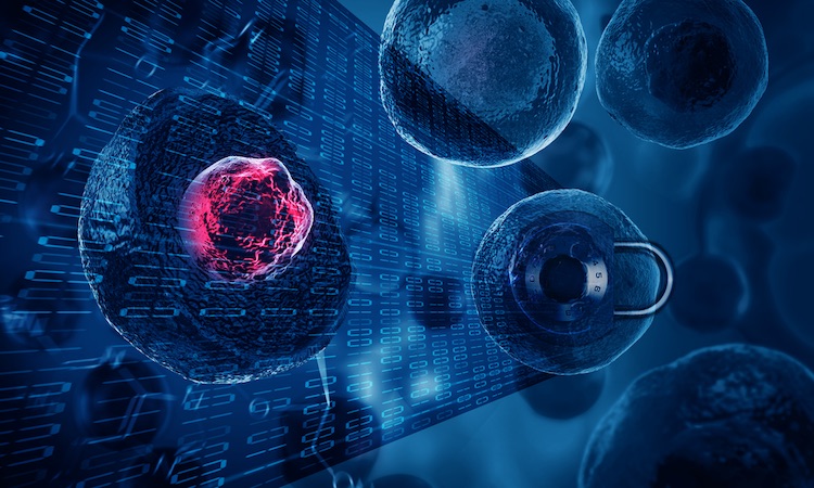 biological encryption keys enhance security