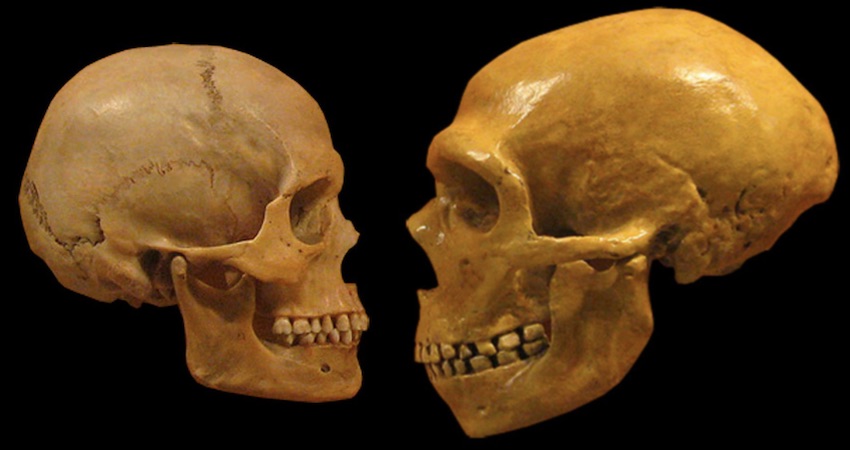third, unknown human ancestor