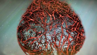 Artificial 3D Human Blood Vessels