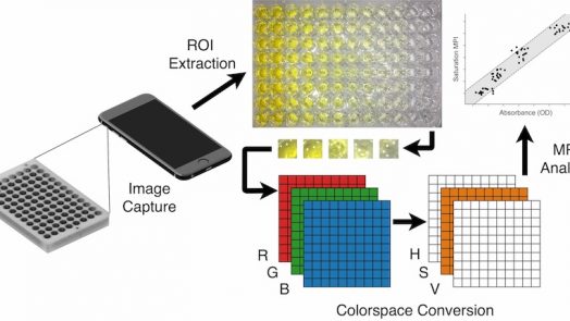 smartphone algorithm diagnose diseases