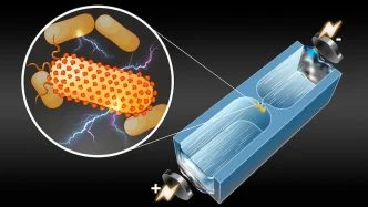 Technique to detect Electricity-Producing Bacteria
