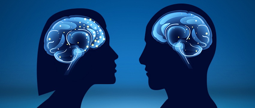 Female Brains are 3 years Younger