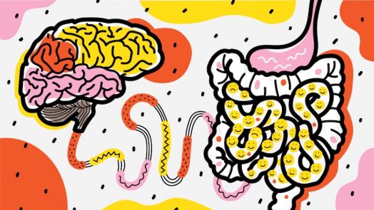Link Between Gut Bacteria and Depression