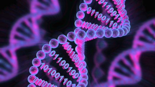 First Bacterial Genome Using A Computer Algorithm