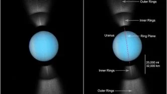 Temperature of Uranus Rings