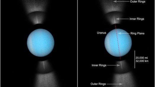 Temperature of Uranus Rings