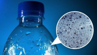 people consume plastic particles