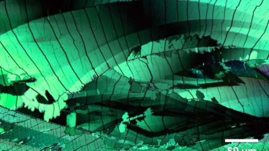 new method make Screens Brighter, More Efficient