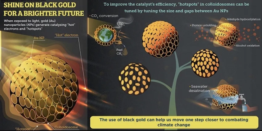 black gold