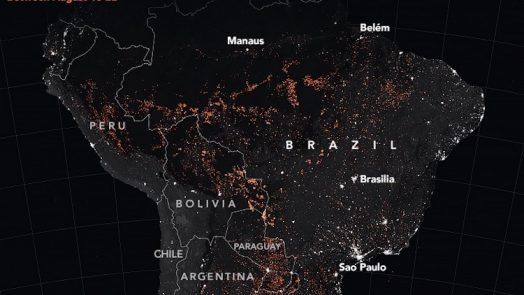 Amazon Rainforest Fires in 2019